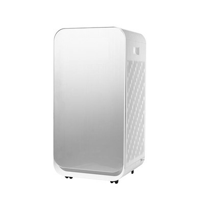 Pembersih Udara Penghilang Formaldehida